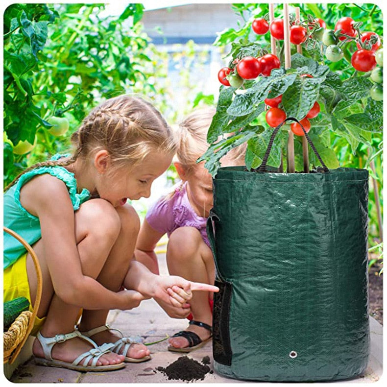 easy grow planter bag Potato Grow Bags PE Vegetable Planter Growing Bag DIY Fabric Grow Pot –  Change Yard