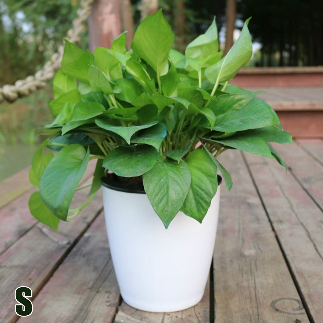 6 Size Lazy Flower Pot Outer And Inner Pot Imitation Porcelain Series Garden Plastic Self Watering Flowerpot With Cotton Rope