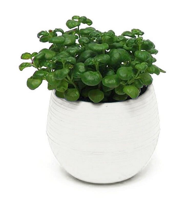 7cm plastic plant pots Mini Size 7*7cm Colorful Plastic Flower Planter Pots Home Office Deskt – Change Yard