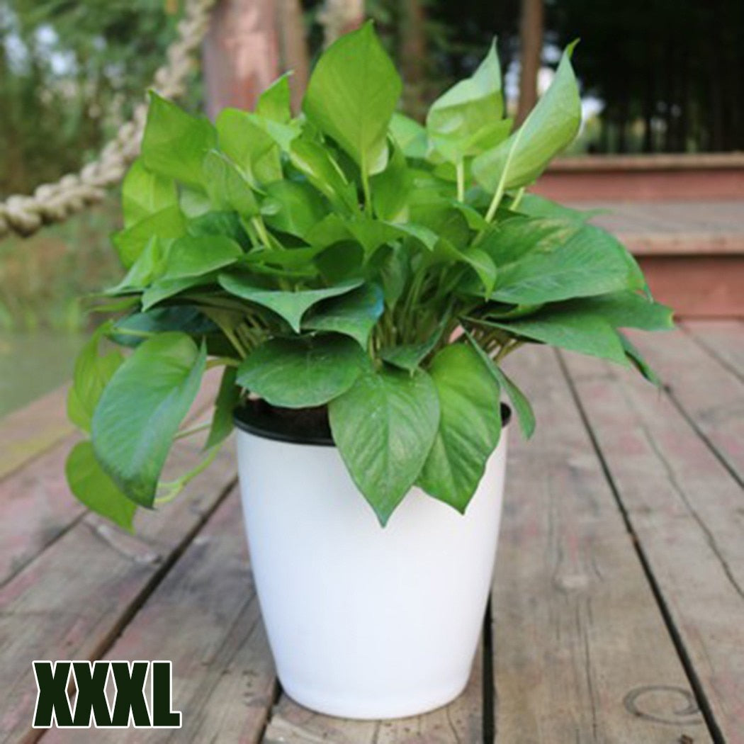 6 Size Lazy Flower Pot Outer And Inner Pot Imitation Porcelain Series Garden Plastic Self Watering Flowerpot With Cotton Rope