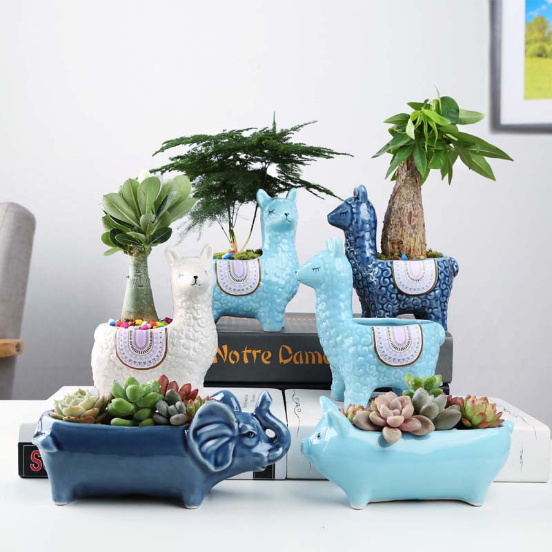 Cartoon Cute Alpaca Succulent Flower Pot Desktop Placed Potted Container Decoration Gift Balcony Plant Ceramic Creative