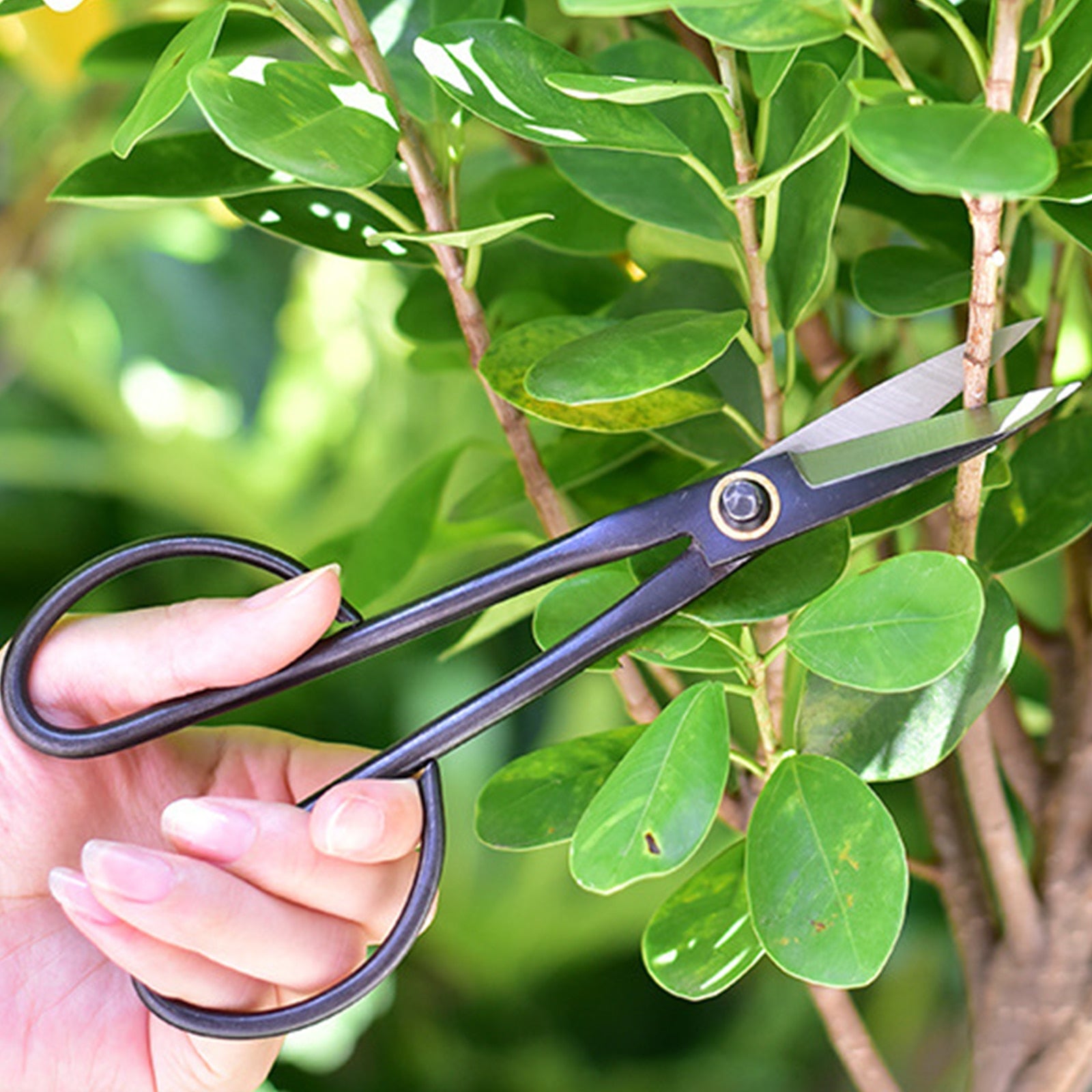 21cm Beginner Bonsai Tool Long Handle Scissors Gardening Plant Branch Shears Garden Pruning Tools Bonsai Scissors Drop Shipping