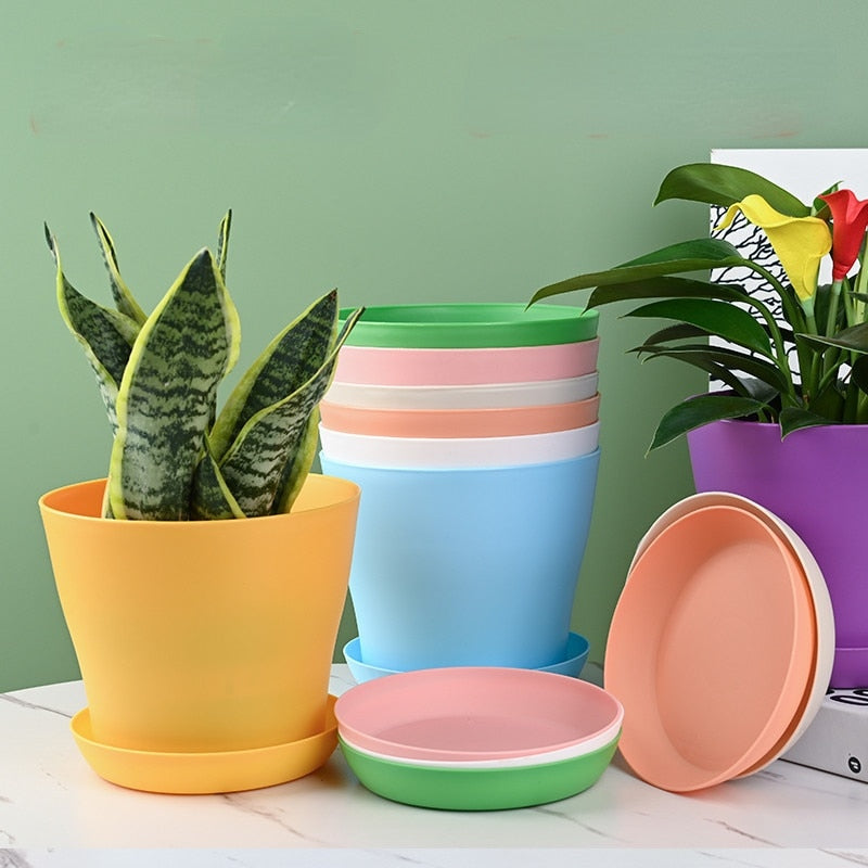 5 Sizes Flower Pot Round Planters Candy Color Mini Flowerpot for Succulents Home Office Decor Planting Supplies HIgh Quality